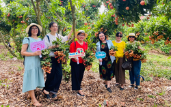 Đất và người Bắc Giang - Dấu ấn qua Hội thi Dân vũ và Thể dục thể thao phụ nữ toàn quốc 