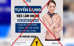 Chiêu dẫn dụ người dùng mạng vào bẫy qua hình thức mời "thực hiện nhiệm vụ" với website thật của PNJ