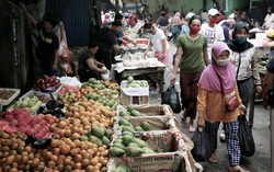 Quốc gia Đông Nam Á cho phép người dân nghỉ cuối tuần 5 ngày nhân dịp lễ hội Eid al-Adha 