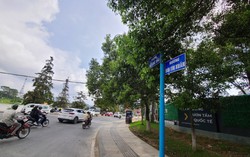 Sở Xây dựng Lâm Đồng bác đề xuất xây khách sạn 5 sao cao 7 tầng sát hồ Xuân Hương