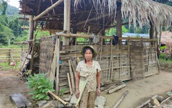Những người Đan Lai khốn khó giữa đại ngàn hoang thẳm (Bài 1)