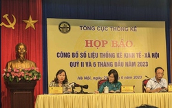 GDP 6 tháng đầu năm 2023 thấp thứ hai trong 13 năm qua
