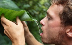Tại sao động vật có khả năng nhịn đói tốt hơn nhiều so với con người?