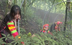 Hộ gia đình vùng khó khăn được vay vốn sản xuất kinh doanh tới 100 triệu đồng