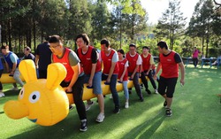 Nhảy bao bố và chụp ảnh tập thể dưới nắng khi đi team building: Nghĩ tới đã thấy sợ!
