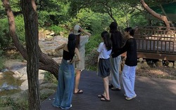 Team building trong mơ: Chỉ cần 1 bữa ăn ngon, lãnh đạo không tham gia các trò chơi