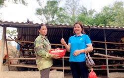 Tạo việc làm cho hội viên khó khăn, chị em có con nhỏ từ tổ liên kết để phát triển kinh tế