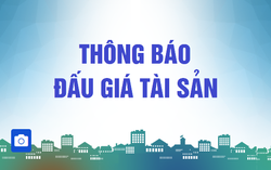 Công ty Đấu giá Hợp danh Thành Hưng thông báo đấu giá tài sản