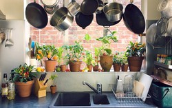 Sáng tạo khu vườn thảo mộc ngay trong căn bếp gia đình với những ý tưởng cực hay