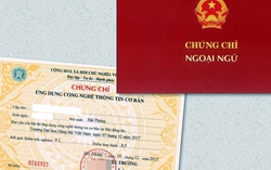 Công chức, viên chức thiếu chứng chỉ Anh văn, tin học có bị thôi việc?