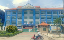 Bị kết luận có sai sót, nữ Hiệu trưởng nói gì?