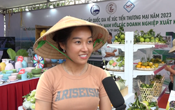 Nhiều cơ hội cho doanh nghiệp khi tham gia hoạt động xúc tiến thương mại