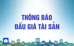 Công ty Đấu giá Thành Hưng thông báo đấu giá tài sản