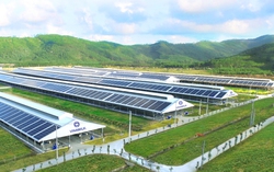 Giảm thiểu dấu chân carbon trong sản xuất tại doanh nghiệp sữa lớn nhất cả nước
