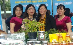 Hội LHPN huyện An Lão (Bình Định): Nỗ lực giúp bà con dân tộc thiểu số thoát nghèo