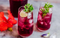 5 thức uống bổ dưỡng có thể giúp kiểm soát tình trạng u nang buồng trứng
