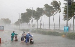 Bão số 1 đang cách Móng Cái 480km, có cường độ lớn nhất trong 3-5 năm trở lại đây