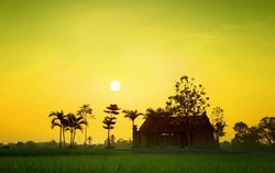 THƠ: Kể chuyện
