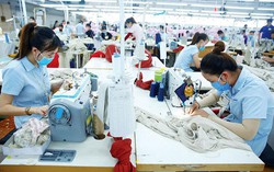 Nghiên cứu, giảm mức phí công đoàn từ 2% xuống 1% 