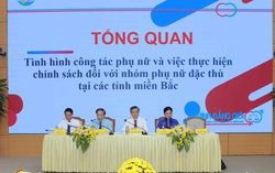 Những mảng màu tương phản trong công tác cán bộ nữ, cán bộ trẻ, cán bộ nữ người dân tộc thiểu số 
