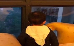 Thấy con đứng ngây người bên cửa sổ, bố lại xem thì đỏ hoe mắt trước thứ con đang nhìn