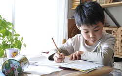 Chỉ cần thay đổi 2 chi tiết ở phòng khách, thành tích học tập của trẻ sẽ cải thiện tích cực