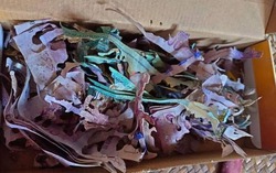 Cất giữ tiền tiết kiệm cả đời trong chiếc hộp cũ, cụ bà đau đớn khi mở ra sau thời gian dài