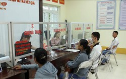 Lộ trình cụ thể sắp xếp đơn vị hành chính cấp huyện, cấp xã