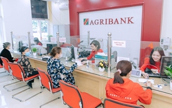 Agribank tiếp sức vốn rẻ, giúp doanh nghiệp nông nghiệp vững vàng vượt bão