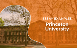 Bài luận 500 từ chinh phục Đại học Princeton: "Sau vài ngày lục tung Google, tôi hoàn toàn bị đánh gục"
