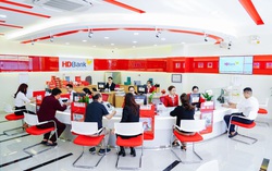 Lợi nhuận gần 5.500 tỷ đồng, HDBank tiếp tục kế hoạch của Ngân hàng bền vững