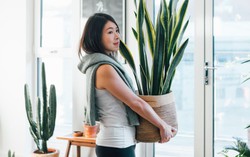 6 ý tưởng giúp khu vườn nhỏ trong nhà bạn luôn là tâm điểm chú ý