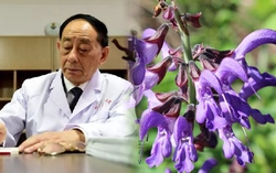 Không có gen trường thọ, vị bác sĩ vẫn sống khỏe mạnh ở tuổi 81 nhờ duy trì một bí quyết