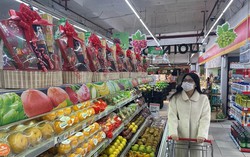 Nâng cao hiệu quả hội nhập kinh tế quốc tế, thúc đẩy kinh tế phát triển nhanh và bền vững giai đoạn 2023 - 2030