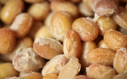 Loại hạt quen thuộc được ví như "khắc tinh" của cholesterol và bệnh tim mạch