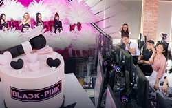 Gia đình tại Hải Phòng lập nhóm, chi hơn 100 triệu đồng để “săn” 11 vé VIPconcert BLACKPINK 