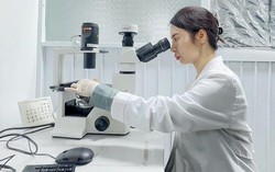 Khuyến khích và phát hiện, tiến cử nhân tài