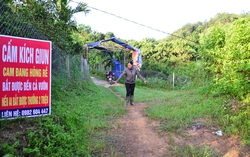 Người dân "thủ phủ" cam Cao Phong đứng ngồi không yên với nạn kích điện tận diệt giun đất