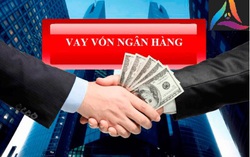 Thanh tra chỉ ra sai phạm của loạt ngân hàng: BacABank và những khoản vay chưa đáp ứng điều kiện của doanh nghiệp "họ" TH
