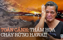 Vụ cháy rừng ở Hawaii: Thảm họa thiên nhiên tàn phá đảo "thiên đường", ít nhất 89 người tử vong 