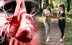 4 cách tối đa hóa lợi thế của đi bộ với trái tim 