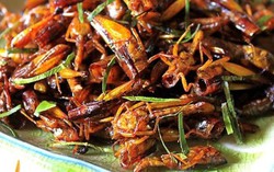 1 phụ nữ tử vong sau khi ăn châu chấu rang