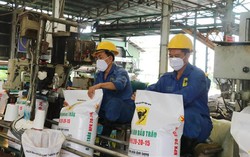 Lợi nhuận giảm mạnh, cổ phiếu doanh nghiệp phân bón vẫn "bứt phá"