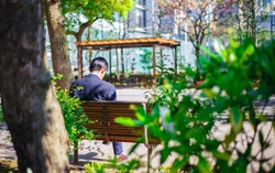 1/3 đàn ông Nhật Bản sẽ không kết hôn: Nguyên nhân do đâu?