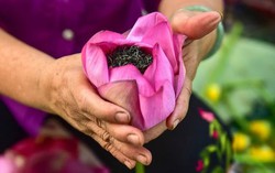 Trải nghiệm: "Thiên cổ đệ nhất trà" có giá lên tới cả chục triệu đồng 1kg