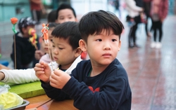 Tại sao nhiều đứa trẻ hồi nhỏ rất thông minh nhưng lớn lên lại bình thường?