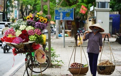 Thơ: Phố nhà em