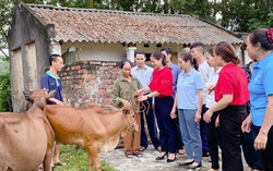 Giúp phụ nữ phát triển kinh tế từ mô hình tiết kiệm “3 ngày 1 nghìn đồng”