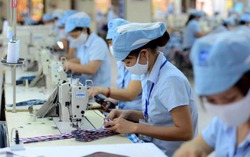Nhiều chính sách hỗ trợ lao động nữ ngoài 35 tuổi