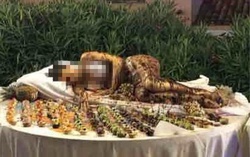 Khách sạn ở Ý gây phẫn nộ vì phục vụ món ăn "không ai hiểu nổi"